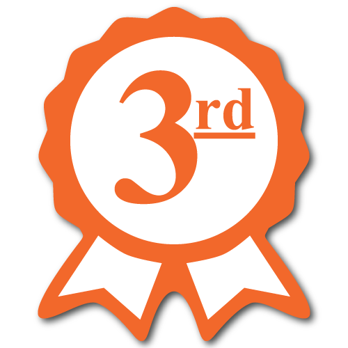 Third Place Orange Ribbon Award Labels, Pack of 25 Sticker