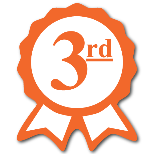 "Third Place" Ribbon Award Labels